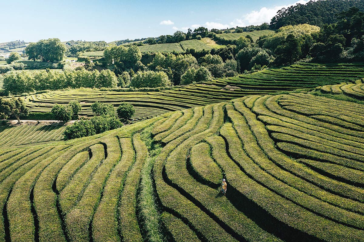 The Azores: Portugal's Atlantic Gems