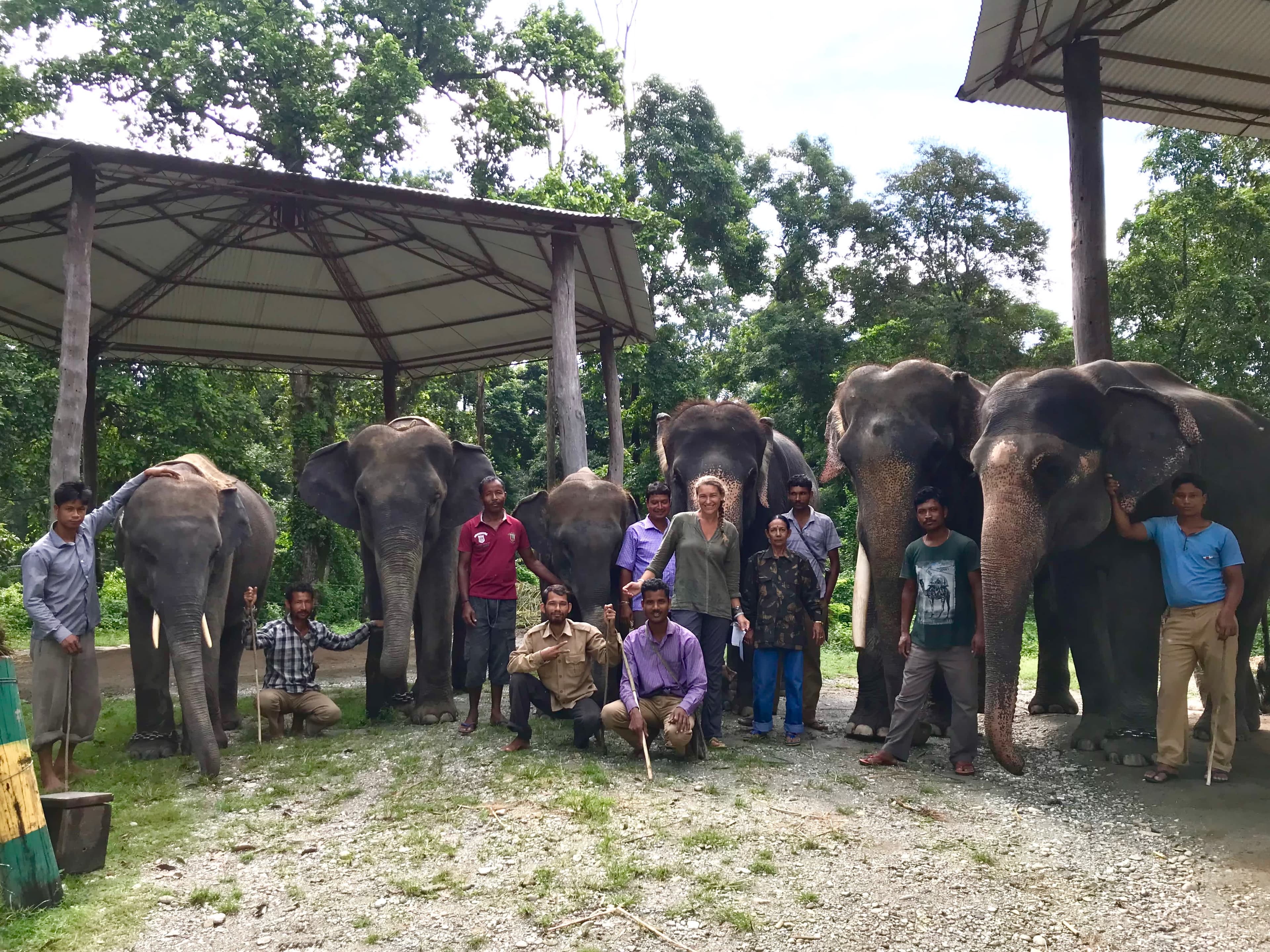 Kensington Conservation Grant