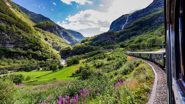 Best of Norway by Cruise & Rail