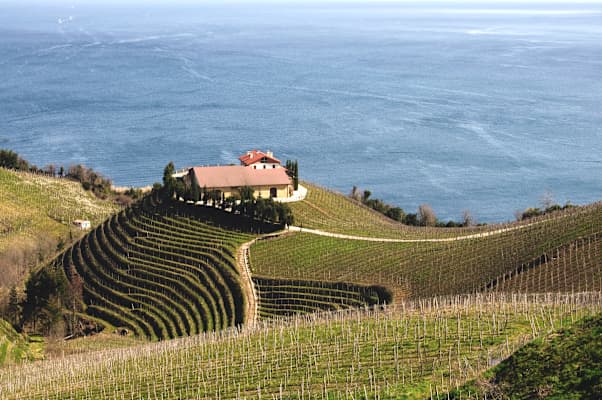 I. Lizarraga A Taste of Bordeaux & Basque Region