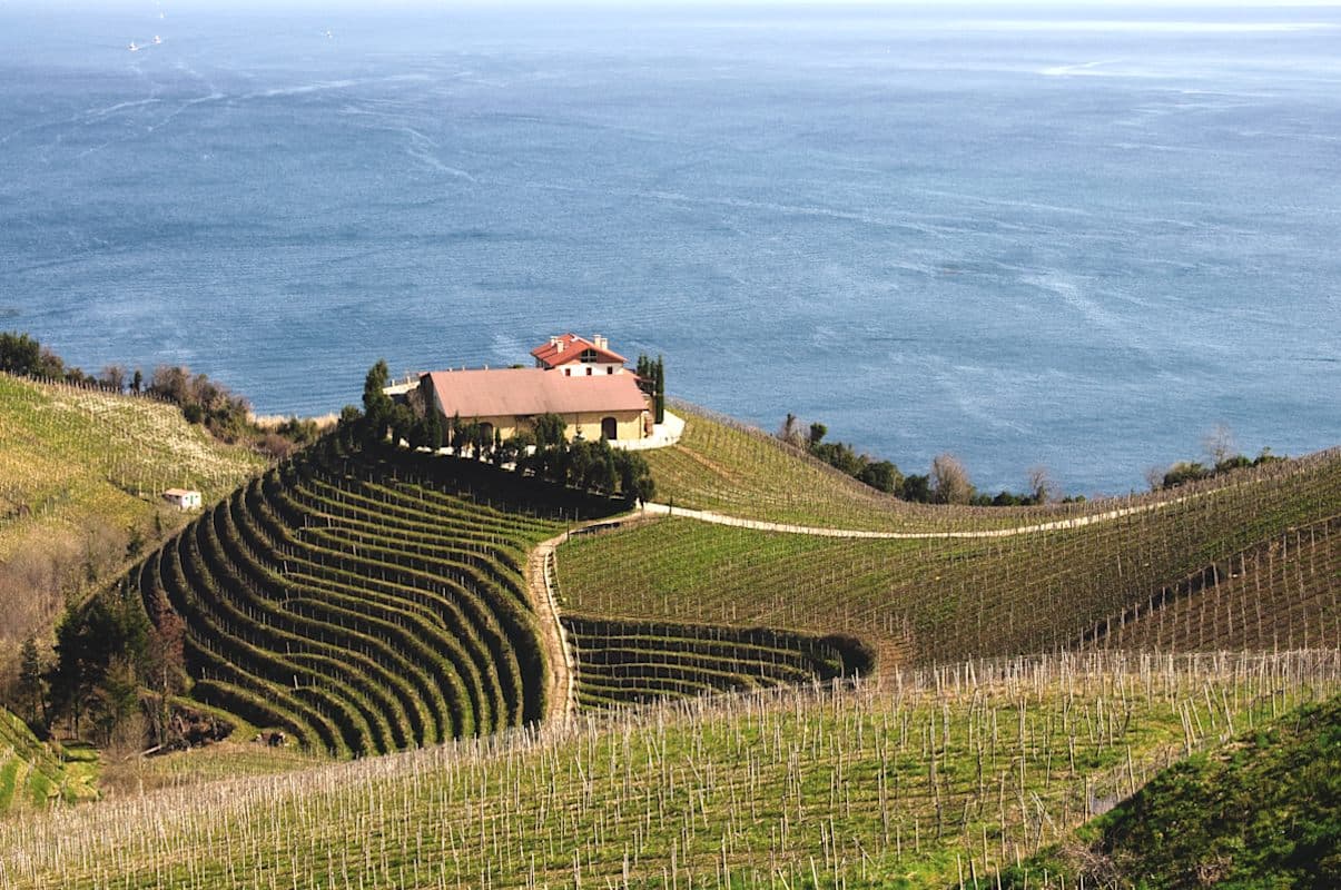 I. Lizarraga A Taste of Bordeaux & Basque Region